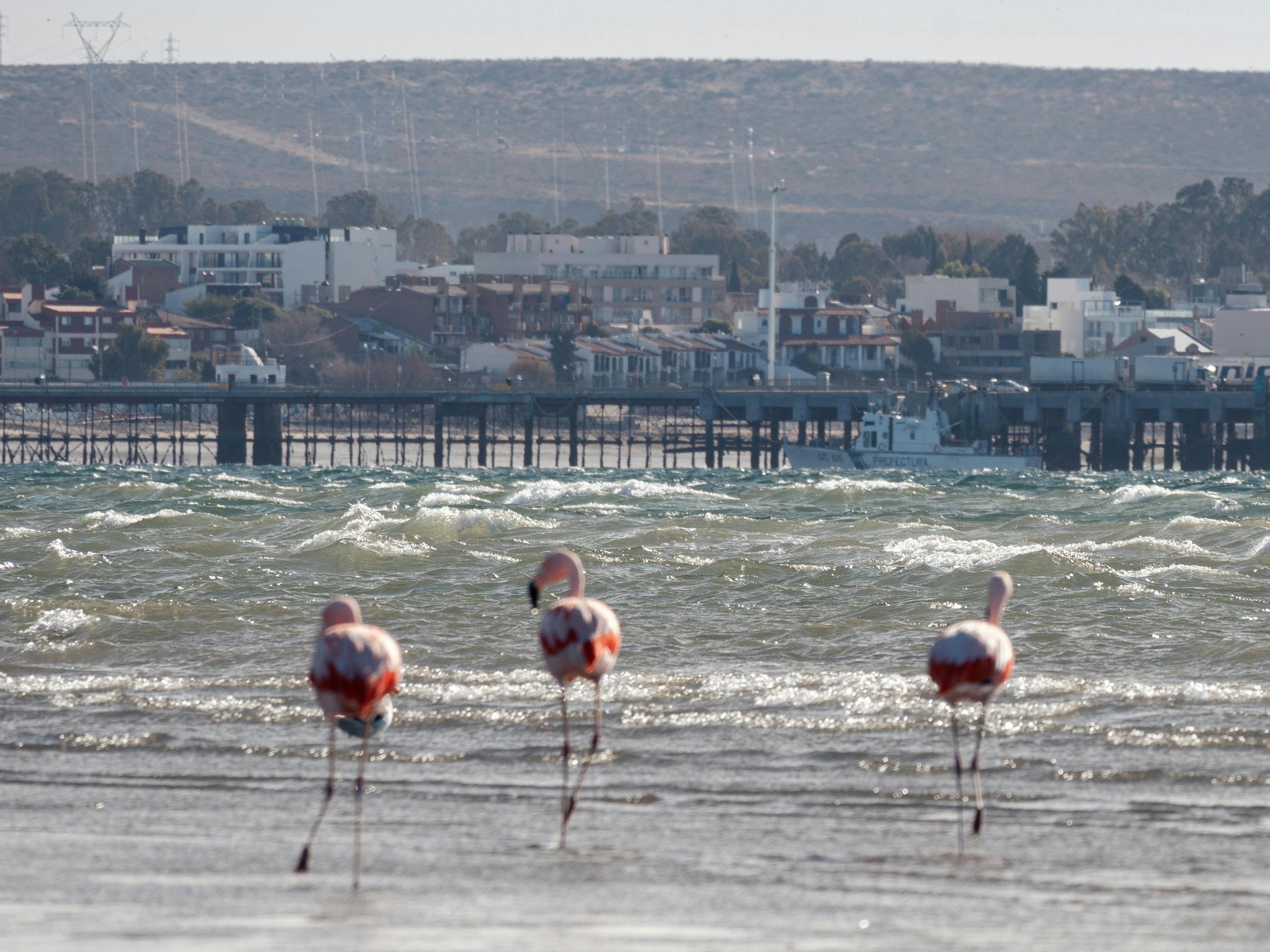 Puerto Madryn, Argentina