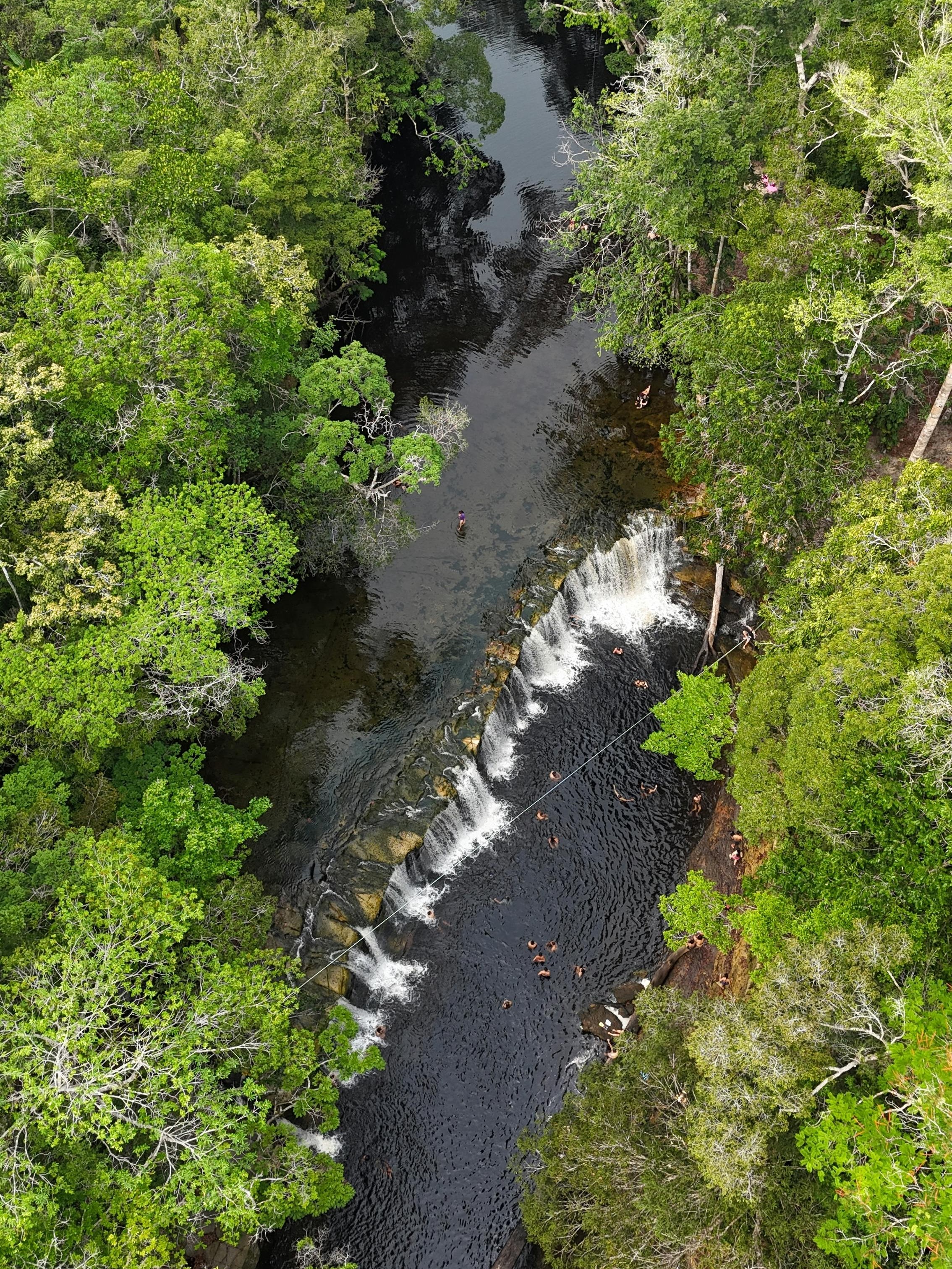 Amazonas